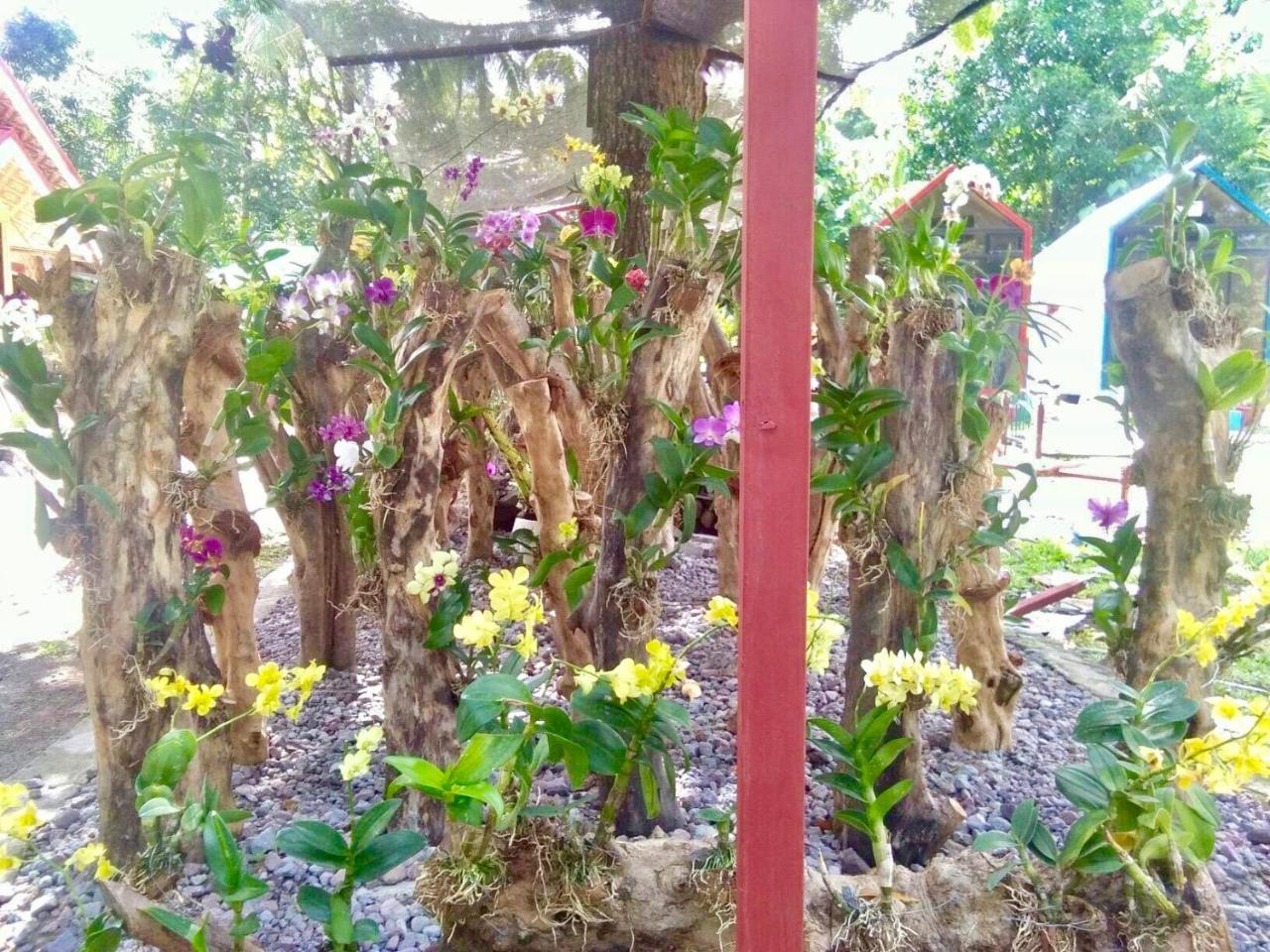 Lanzones Cabana Mambajao Buitenkant foto